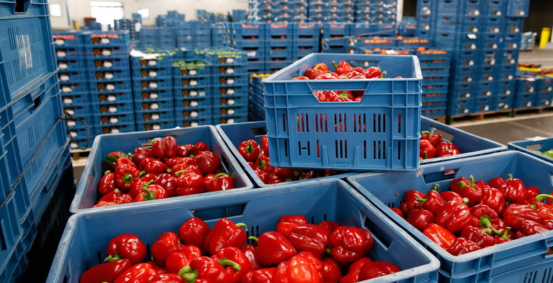 Британия планирует снизить тарифы на импорт сельхозпродукции из США