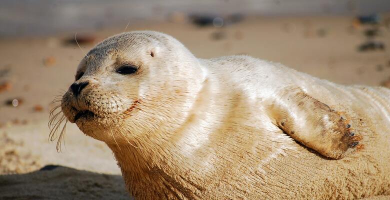 Фото: Amy Asher