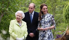 Ближе к народу: принц Уильям поделился планами по модернизации монархии