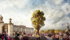 Платиновый юбилей королевы: у Букингемского дворца появится необычное дерево