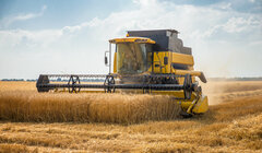 ГМО-пшеница поможет предотвратить продовольственный кризис в Британии