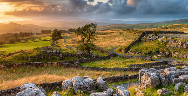 Парл Yorkshire Dales. Фото: 123rf.com