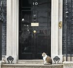 Что вы знаете о британских премьер-министрах? Тест «Коммерсанта UK»