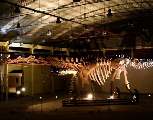 В Великобританию привезут копию самого крупного динозавра в истории
