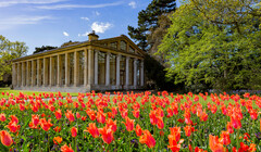 Сады Кью признали лучшей весенней достопримечательностью Великобритании