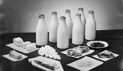 Молочные берега: в Лондоне проходит выставка, посвященная истории молока