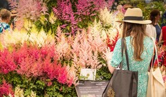 Сад, созданный беженцами, и дань памяти Елизавете II: в Челси открылось знаменитое цветочное шоу