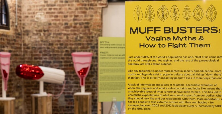 Фото: twitter.com/vagina_museum