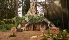 Аллилуйя! Болото Шрека выставили на Airbnb