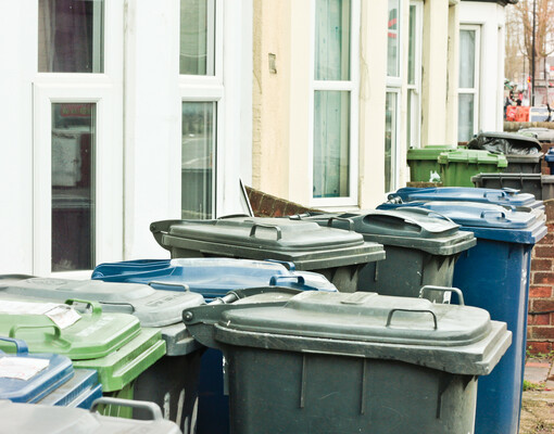 С глаз долой: жителям природоохранных зон могут разрешить убрать мусорные контейнеры с улиц