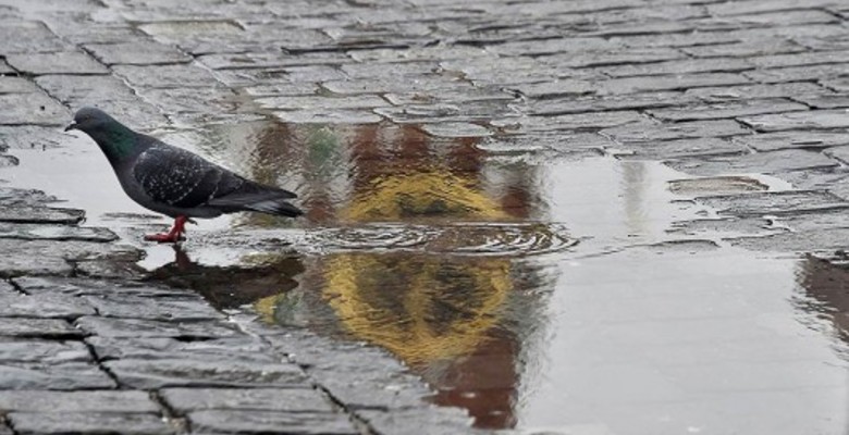 Москва покинула сотню самых дорогих городов