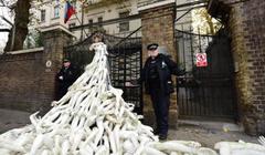 Россия обратилась к Великобритании с просьбой обеспечить защиту диппредставительства