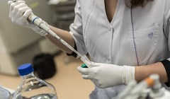 Algorithm for developing anti-aging drugs