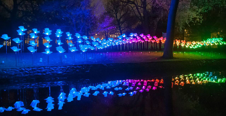 Фото: Canary Wharf Lights Festival