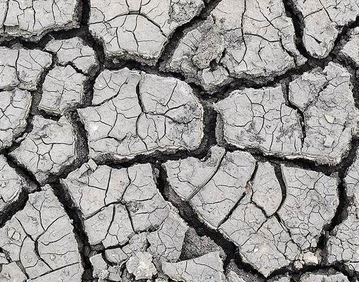 Tomography revolutionizes soil science