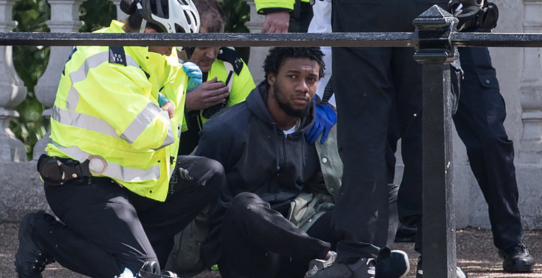 Вооруженный ножом мужчина атаковал полицию у Букингемского дворца
