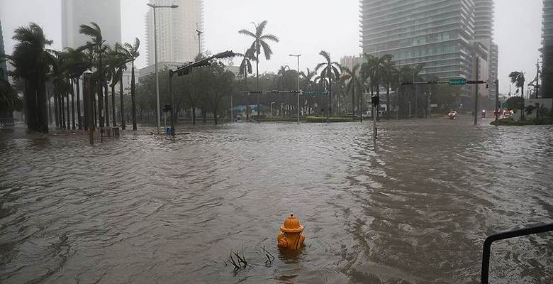 Фото: Stephen Yang / Reuters