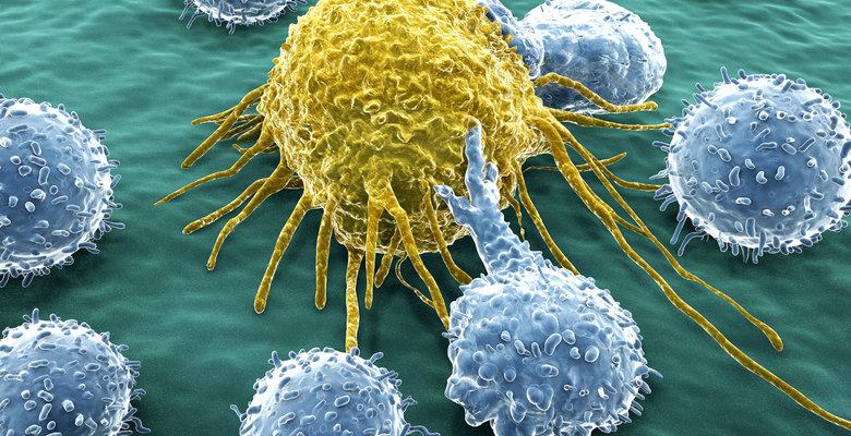 Viruses against cancer