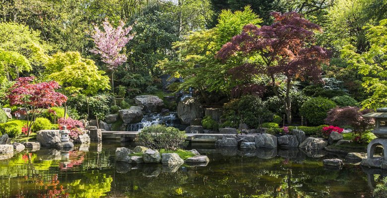 Какие частные сады и парки Лондона откроются широкой публике