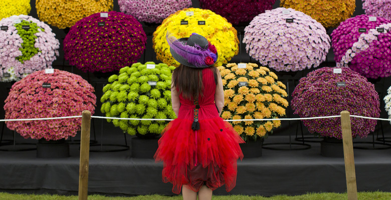 Сhelsea Flower Show. Главный цветочный фестиваль года