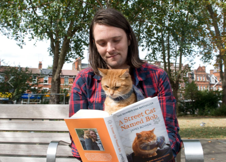 Умер рыжий кот Боб, спасший жизнь своему хозяину — бездомному лондонскому  музыканту | Коммерсантъ UK