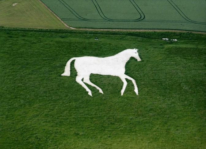Белая лошадь теракт. Белая лошадь Англия геоглиф. Конь на поле в Англии. Белые лошади -геоглифы Англии. Геоглиф лошади в Англии Русь.