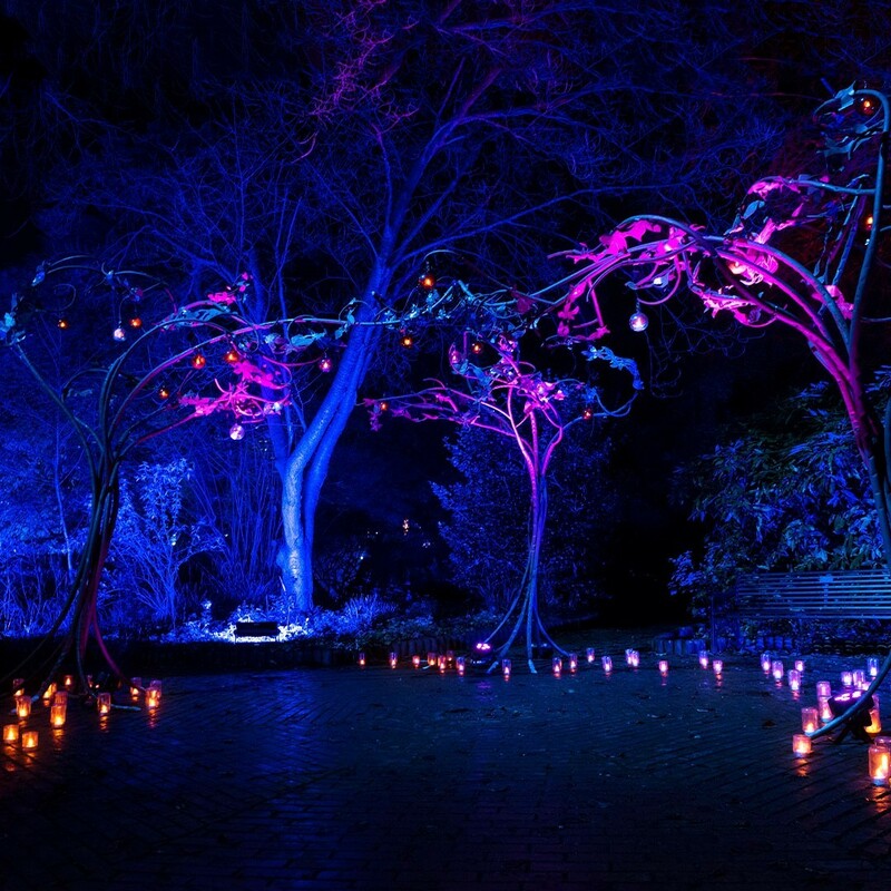 Фото: nstagram.com/kenwoodlights