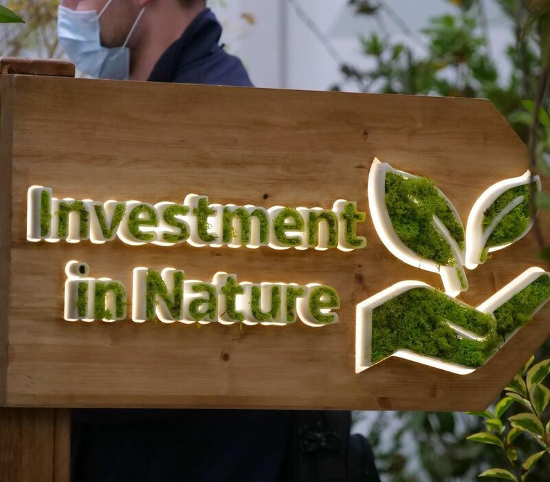 Выставка "Investment in Nature" в Зеленой зоне саммита COP26. Фото: instagram.com/cop26uk
