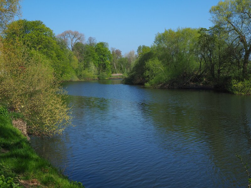 Река Уз. Фото: 123rf.com