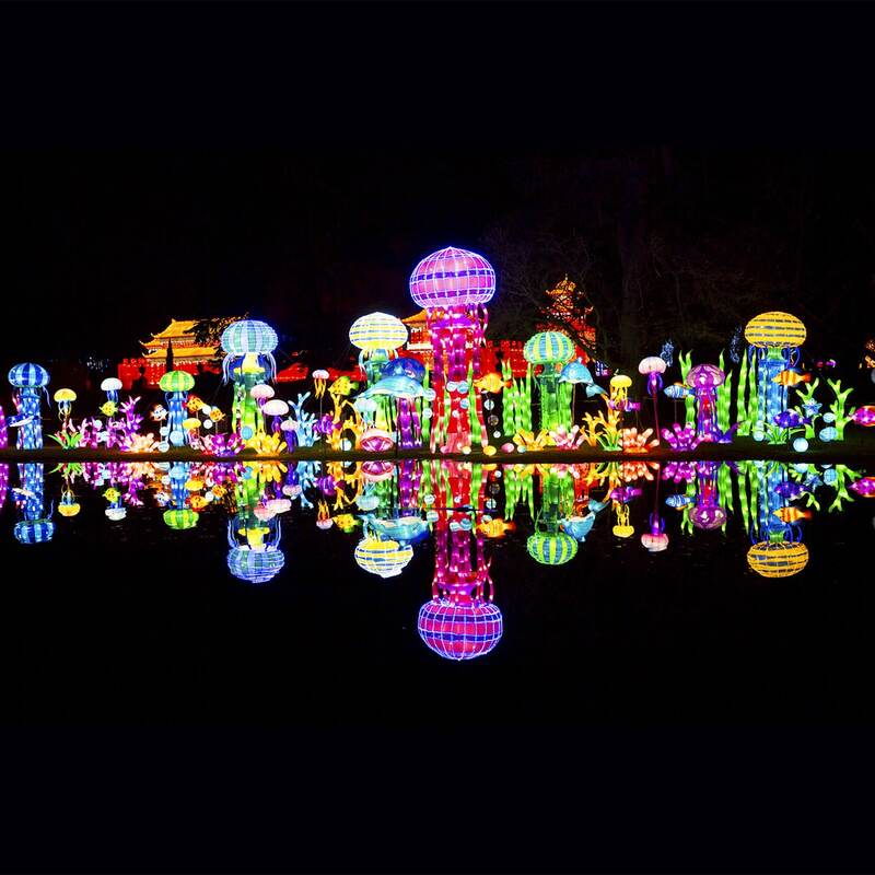 Фото: twitter.com/lightopiafest