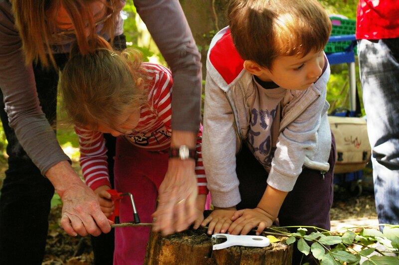 Forest School at Hardmoor Early Years Centre. Фото: flickr.com/photos/johnbullas