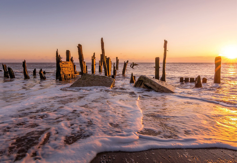 Фото: pixabay.com