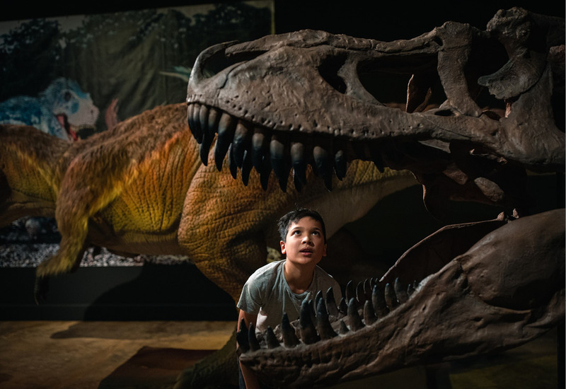 Фото: facebook.com/hornimanmuseumandgardens