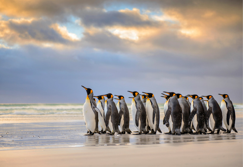 Фото: goodfon.com