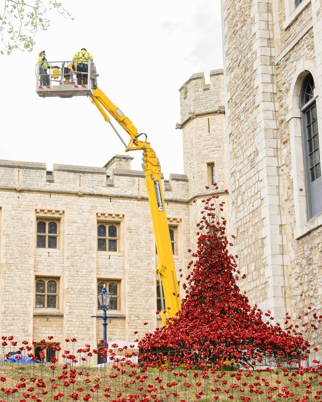 Фото: x.com/TowerOfLondon