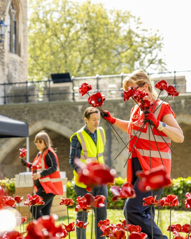 Фото: x.com/TowerOfLondon